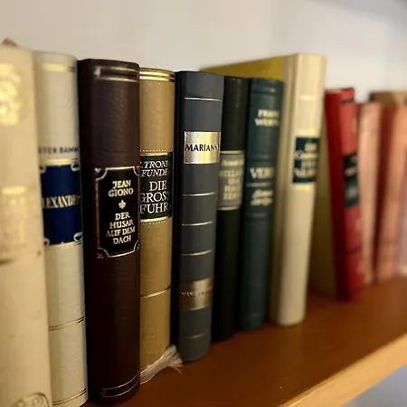 Cozy In Center Apartment *